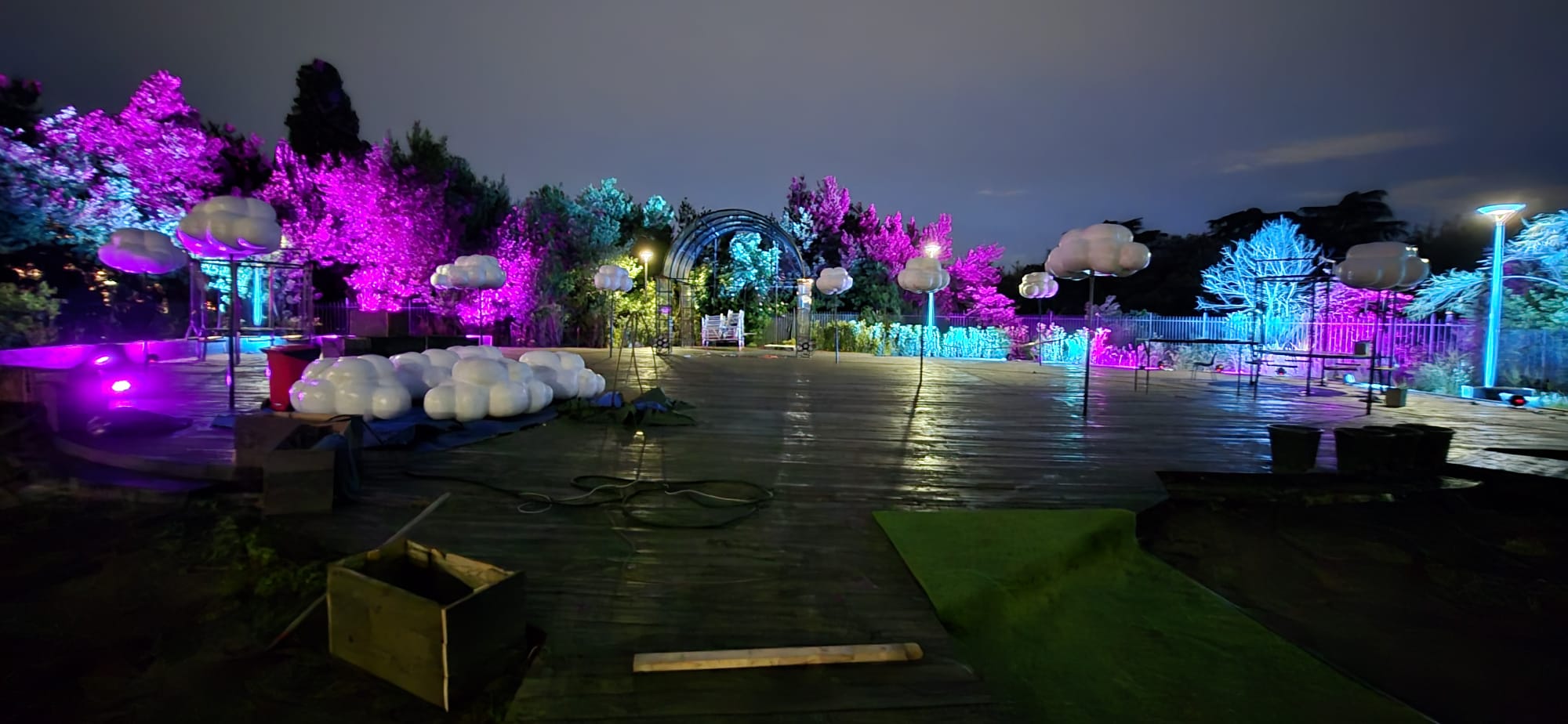 Allestimento serale all’aperto con alberi illuminati in viola e azzurro
